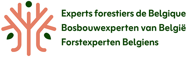 Experts forestiers de Belgique