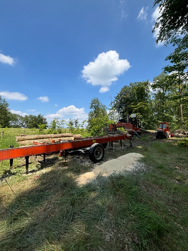 Les coulisses de la forêt périurbaine