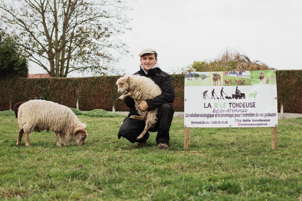 A la rencontre d'animaux en éco-pâturage